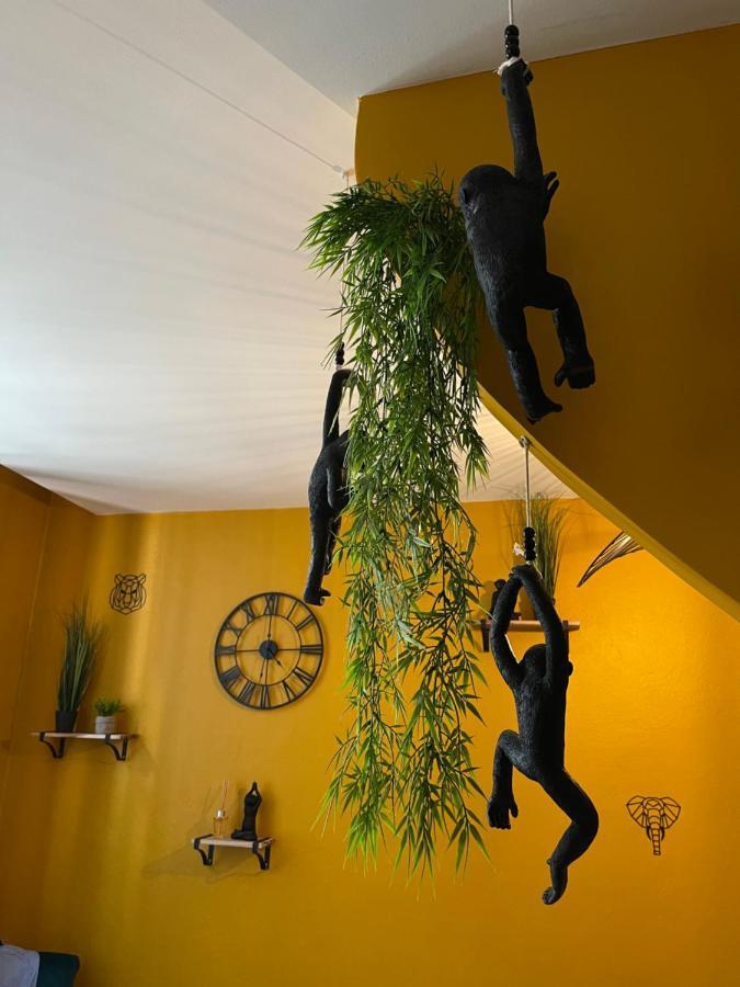 Jungle Room ロマン・シュル・イゼール エクステリア 写真